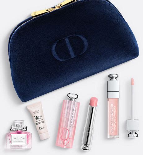 dior oblique cosmetic pouch|dior cosmetics gift with purchase.